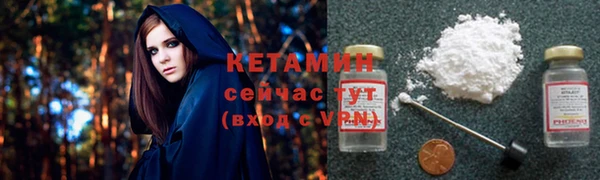 гидра Каменногорск