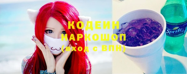 гидра Каменногорск