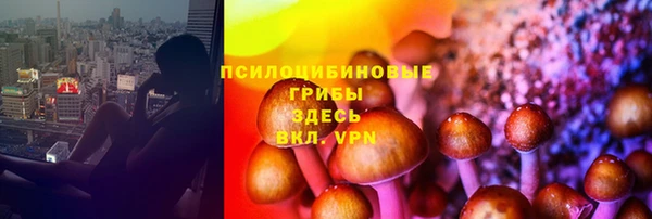 гидра Каменногорск