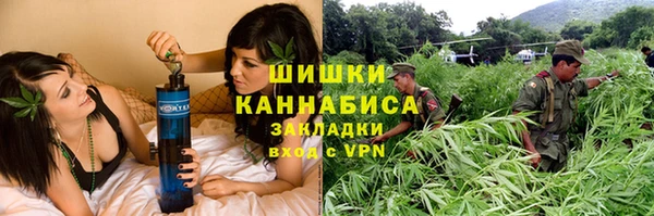гидра Каменногорск