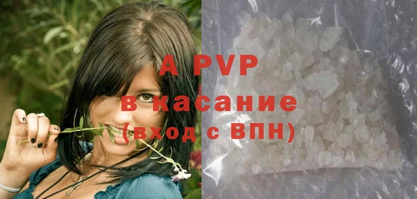 гидра Каменногорск