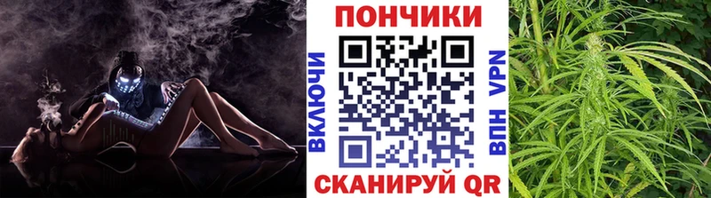 Бошки марихуана OG Kush  Купить  Выборг 